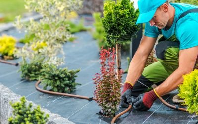 Winter Landscaping: How to Keep Your Outdoor Space Safe and Beautiful