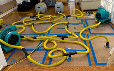 What Are the Ways to Prevent Water Damage in Your Home?