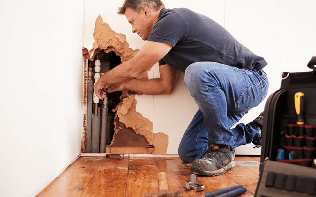 How to Find the Best Water Damage Restoration Company?