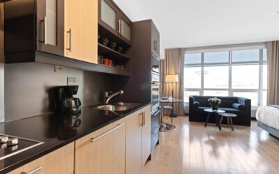 Refacing Cabinets by a Professional Is Always a Good Idea