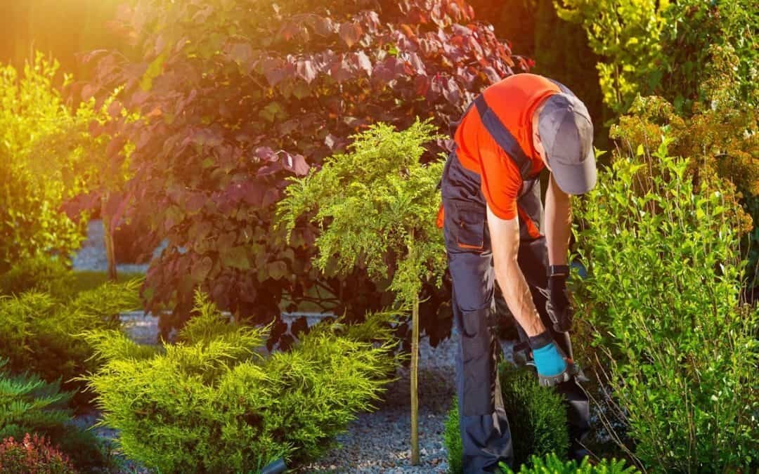 How Does Landscape Maintenance Benefits You?