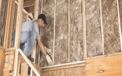 Getting Rid of Mold in Fiberglass Insulation Attics & Walls