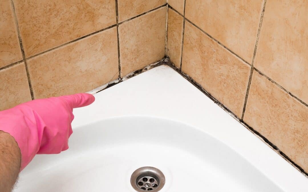How To Remove The Smell Of Mold In Your Bathroom Home Renovations Ottawa Pros - Removing Mould From Bathroom Walls How To Remove The Smell Of Mold In Your Bathroom Home Renovations Ottawa Pros - Removing Mould From Bathroom Walls