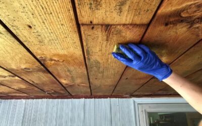6 Ways to Get Rid of Mould on Wooden Surfaces