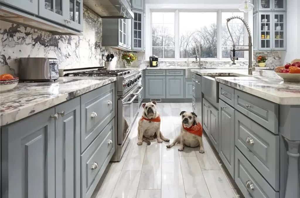 Adding Pet-Friendly Features to Your Kitchen Renovation