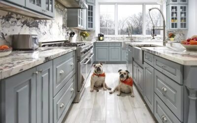 Adding Pet-Friendly Features to Your Kitchen Renovation