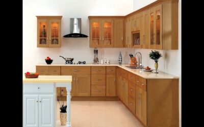The Critical Role of the Kitchen Cabinet in Kitchen Design