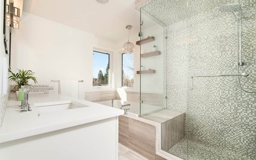 Are You Looking for an Ottawa Shower to Walk-In Tub Convert?