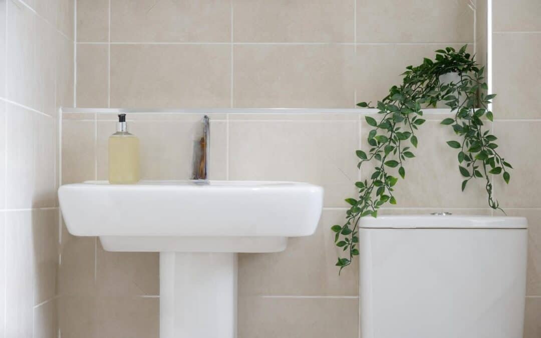 Experience Unmatched Convenience with Ensuite Bathrooms by Ottawa Home Pros