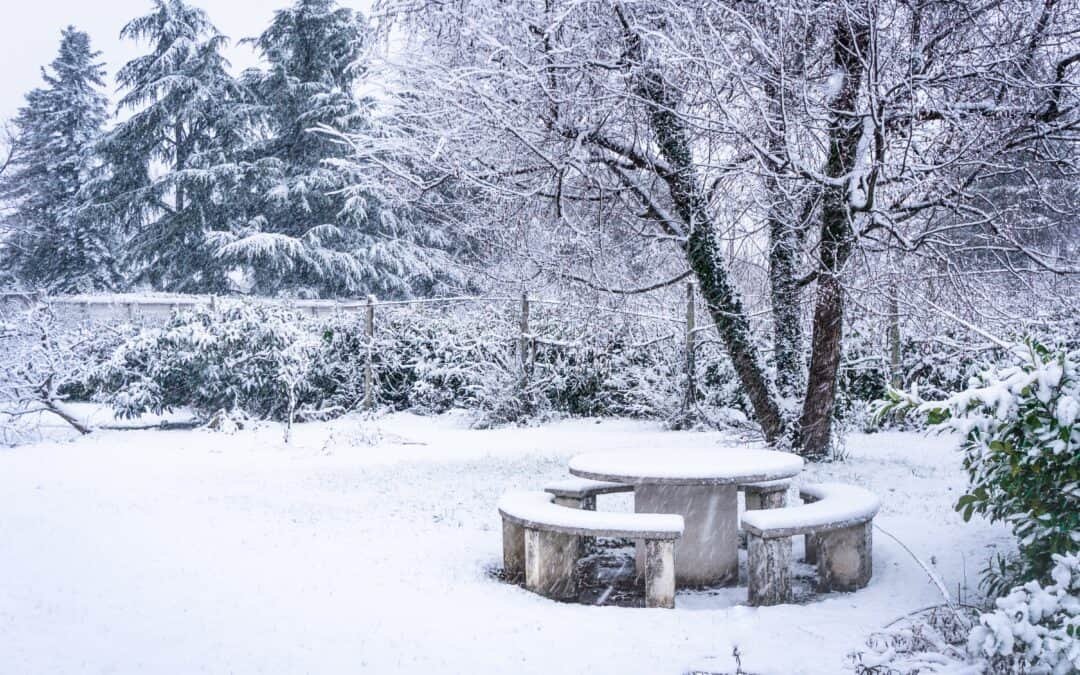 Winter Landscaping: Balancing Safety and Beauty in Your Outdoor Space